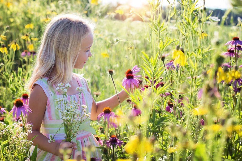 little girl, wildflowers, meadow