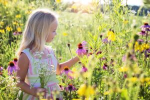 little girl, wildflowers, meadow